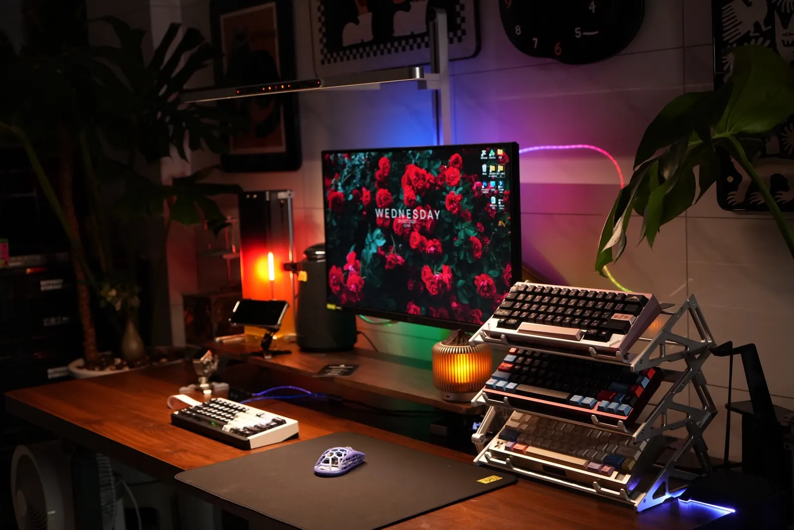 一只狗's workspace — content-creative setup, photo 2 of 6