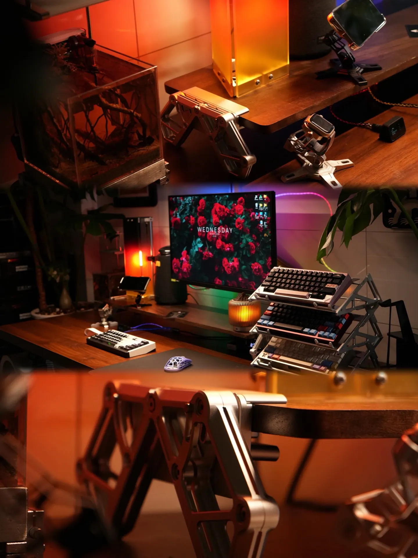 一只狗's workspace — content-creative setup, photo 5 of 6