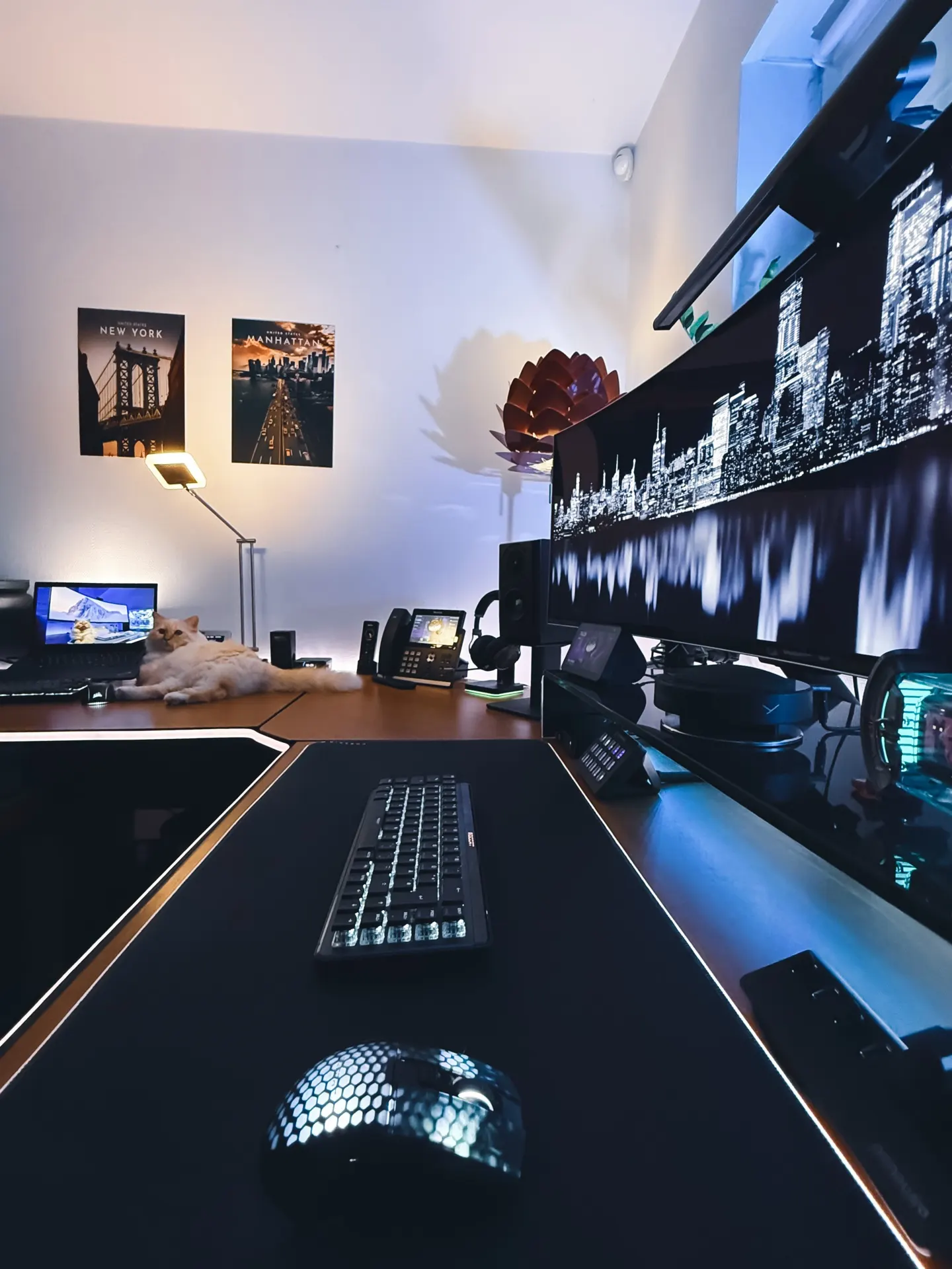 Katakombcat's workspace — gaming setup, photo 2 of 4