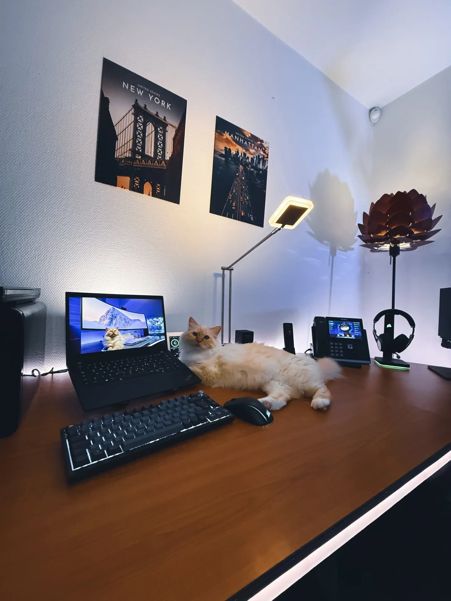 Katakombcat's workspace — gaming setup, photo 4 of 4