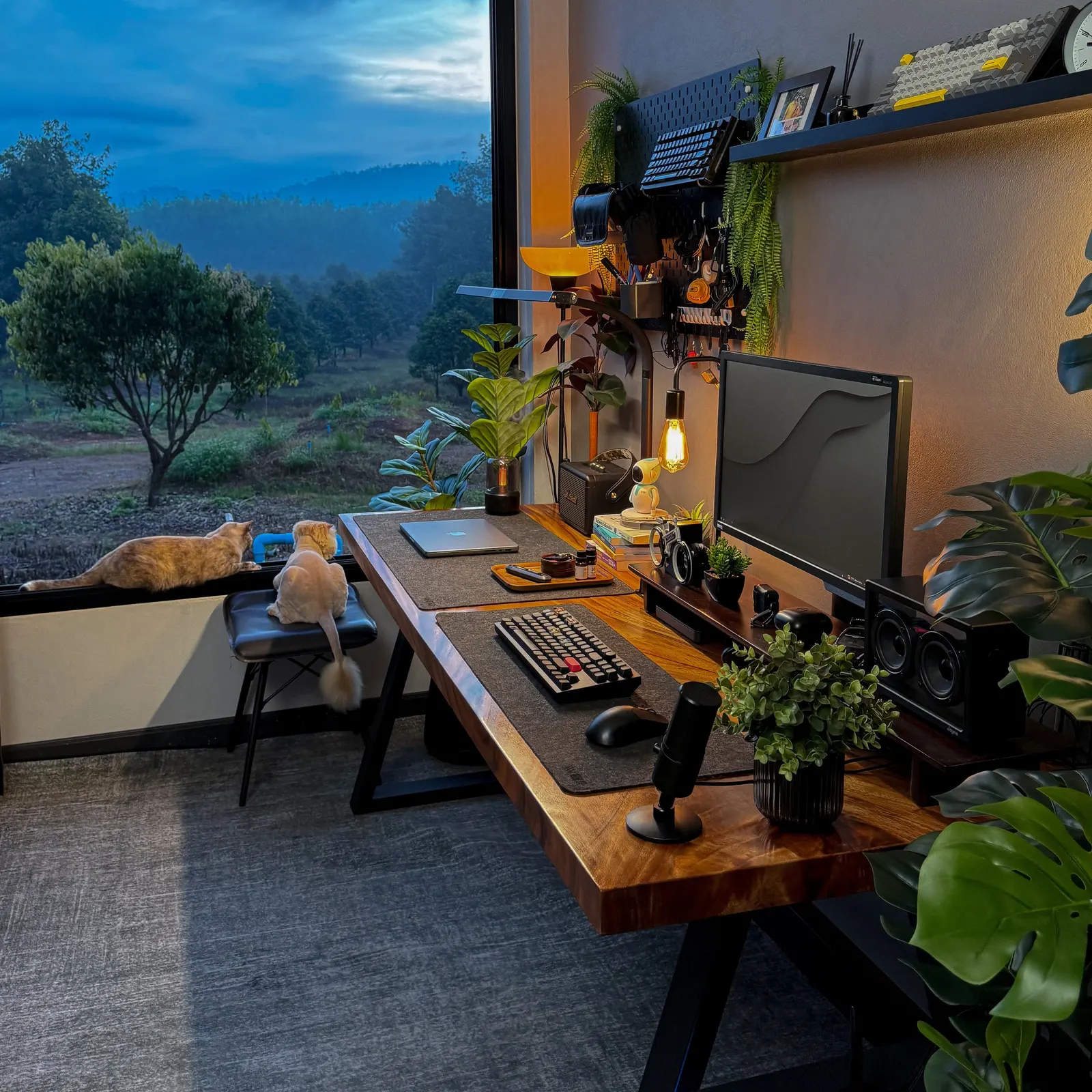 Sataporn Thongbai's workspace — study-everyday setup, photo 3 of 4