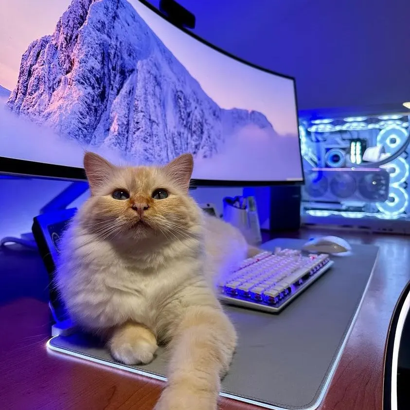 Thomas Ullmann's workspace — content-creative setup, photo 4 of 4